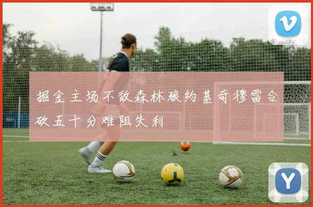 掘金主场不敌森林狼约基奇穆雷合砍五十分难阻失利