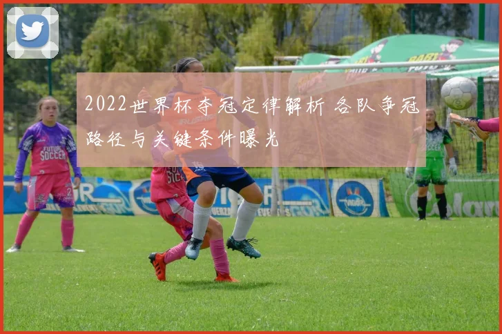 2022世界杯夺冠定律解析 各队争冠路径与关键条件曝光