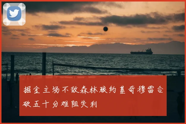 掘金主场不敌森林狼约基奇穆雷合砍五十分难阻失利