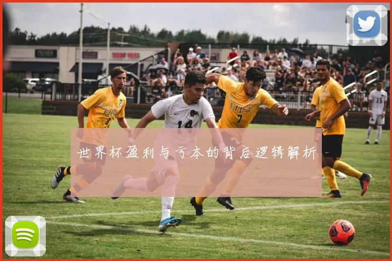 世界杯盈利与亏本的背后逻辑解析
