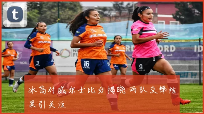 冰岛对威尔士比分揭晓 两队交锋结果引关注
