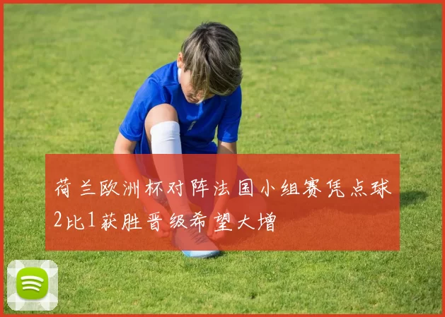 荷兰欧洲杯对阵法国小组赛凭点球2比1获胜晋级希望大增