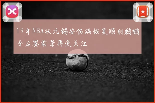 19年NBA状元锡安伤病恢复顺利鹈鹕季后赛前景再受关注