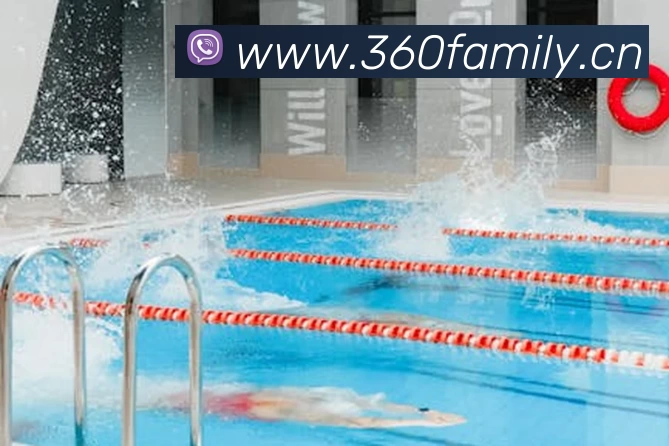 压球首页平台生态图